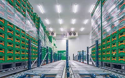 11 SFDA and Temperature control warehouse